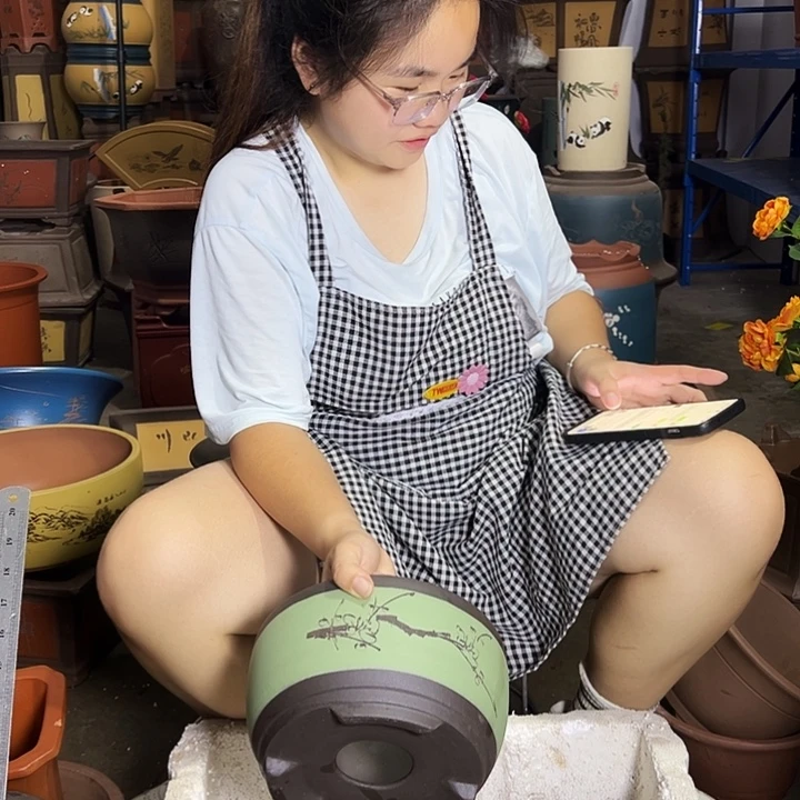 宜兴紫砂花盆绿绿萝大