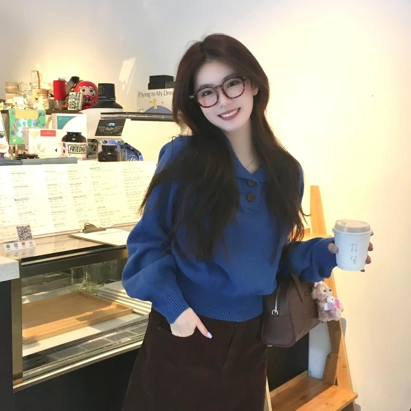 时髦洋气设计感蓝色polo领慵懒风套头毛衣秋冬女装针织衫翻领上衣