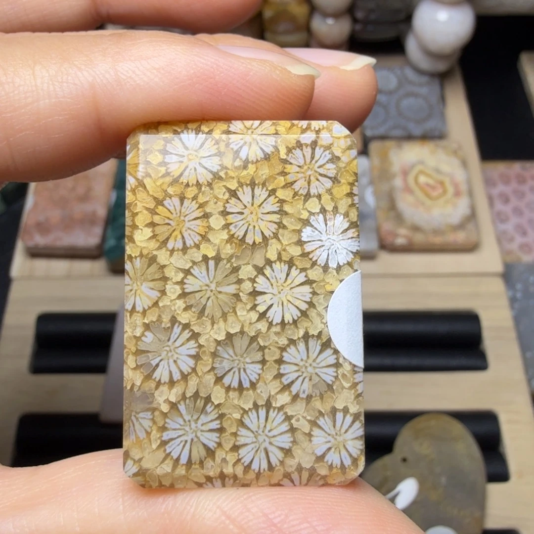 硅化玉未镶嵌玉透 清晰 立体满花，双面美