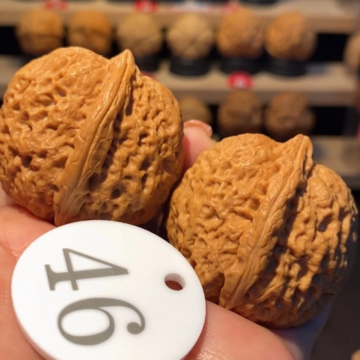 木质类龙鳞铁狮子41尺寸