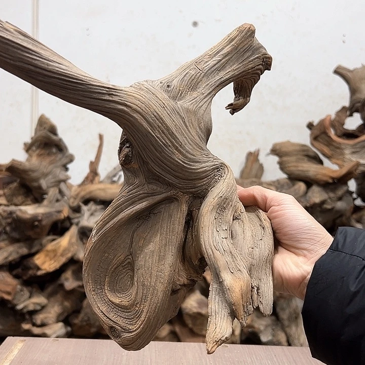 柏木禹*我们的生活也是如此的