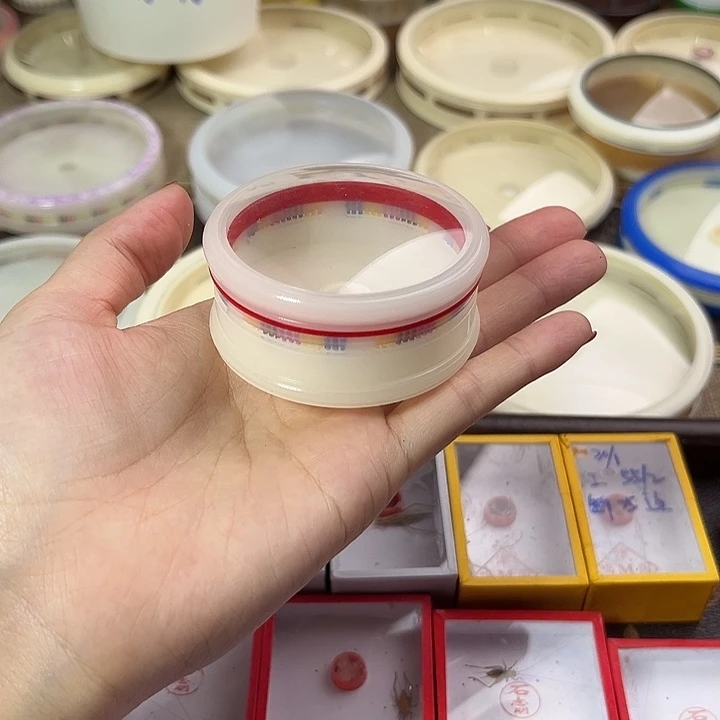 杨连平6公分万体送水塔