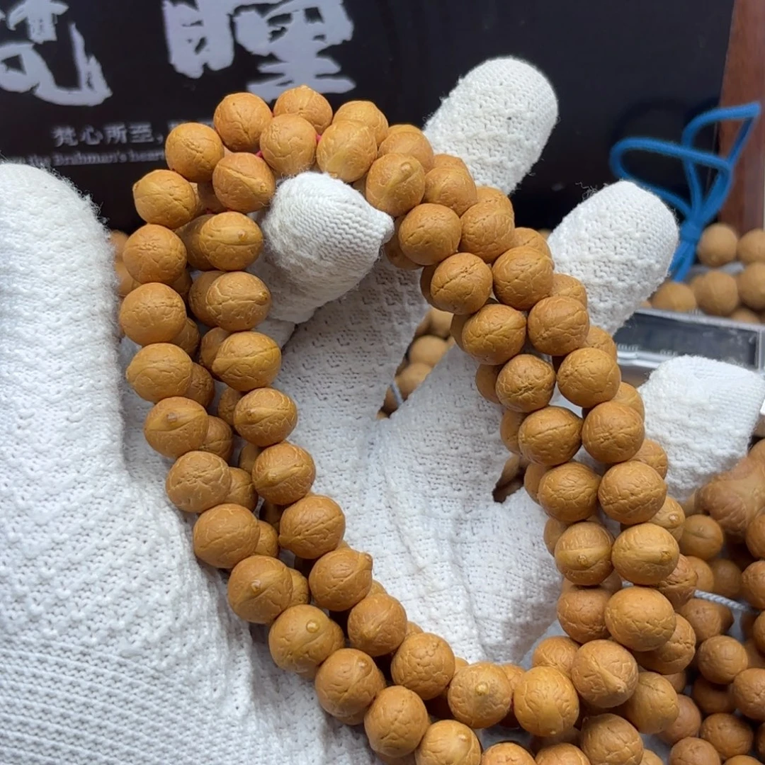 凤眼菩提吊坠凤眼菩提矮壮11尺寸长串