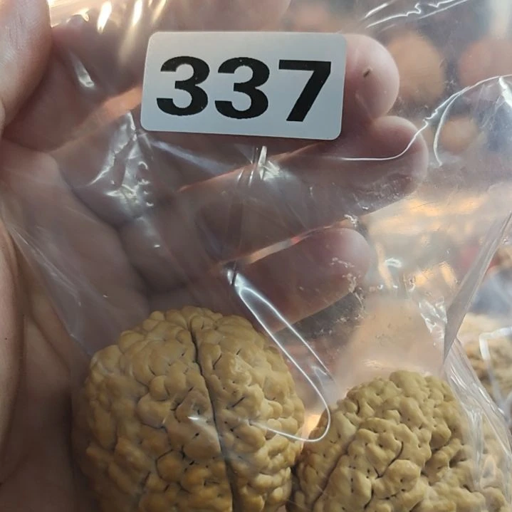 文玩核桃吊坠逆**上文玩核桃