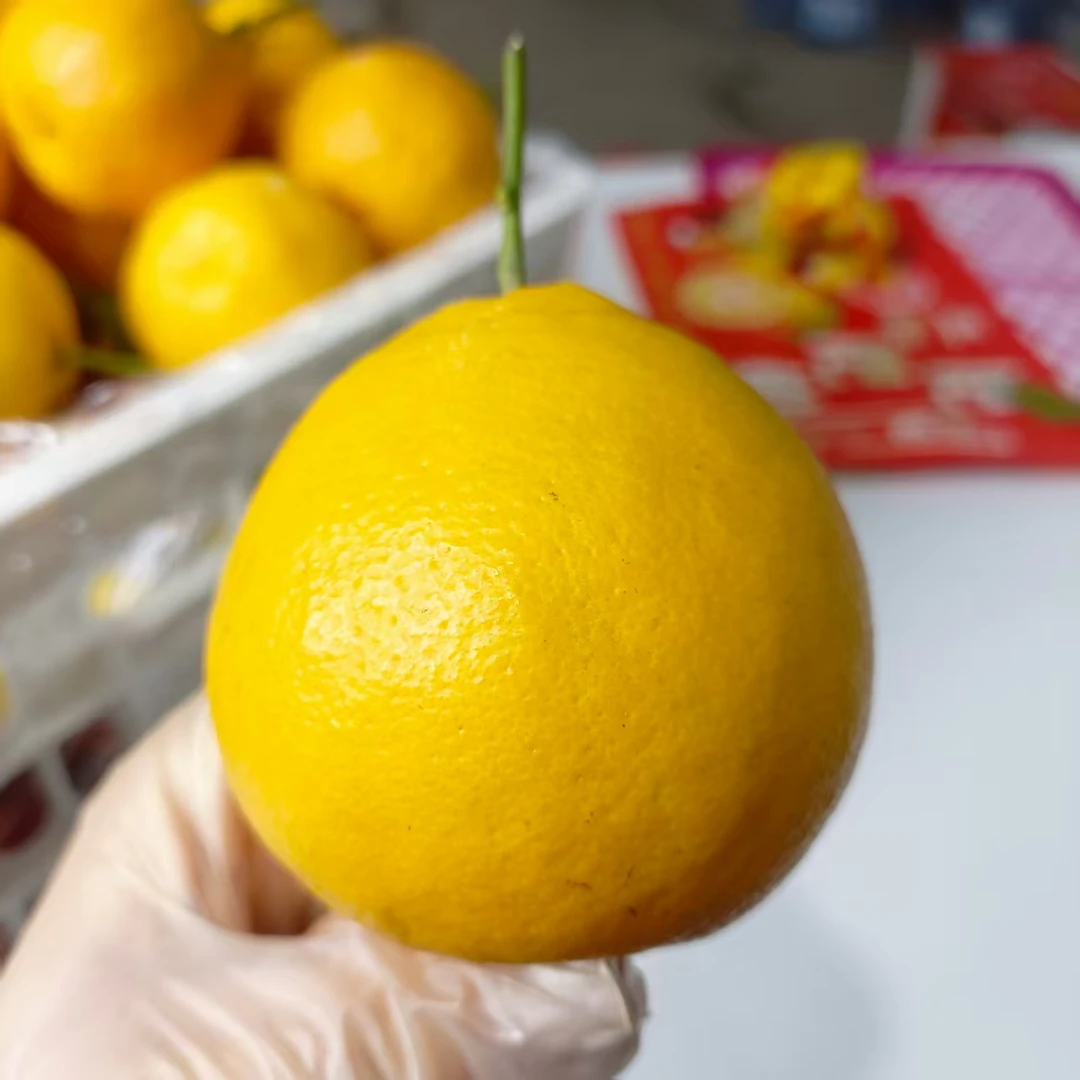 虎头耙耙柑(惠鲜水果)四川省