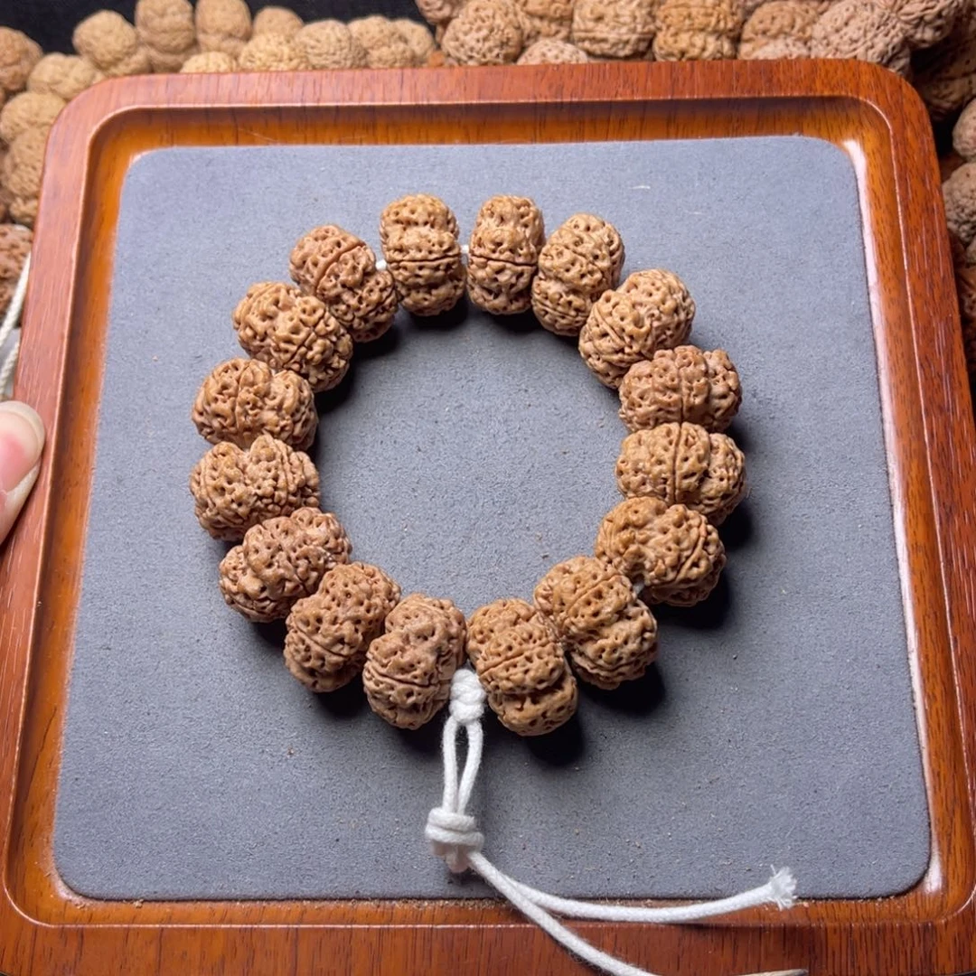 狂****菩提籽类22号金刚菩提梅花夹板24