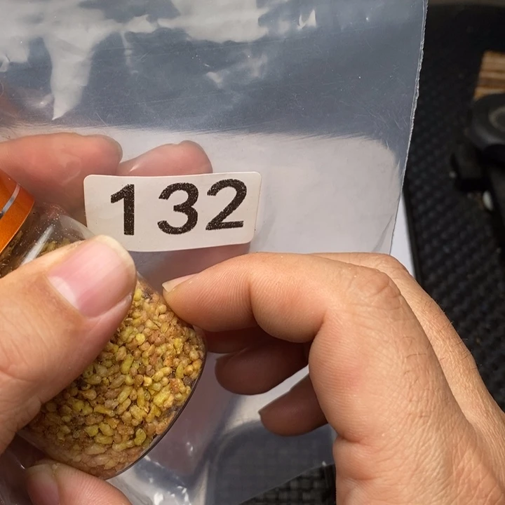 科檀（科特迪瓦檀木）
