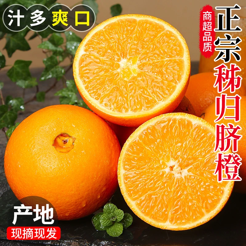 【顺丰包邮】纽荷尔脐橙产地直发甜蜜当季新鲜水果橙子果园现摘