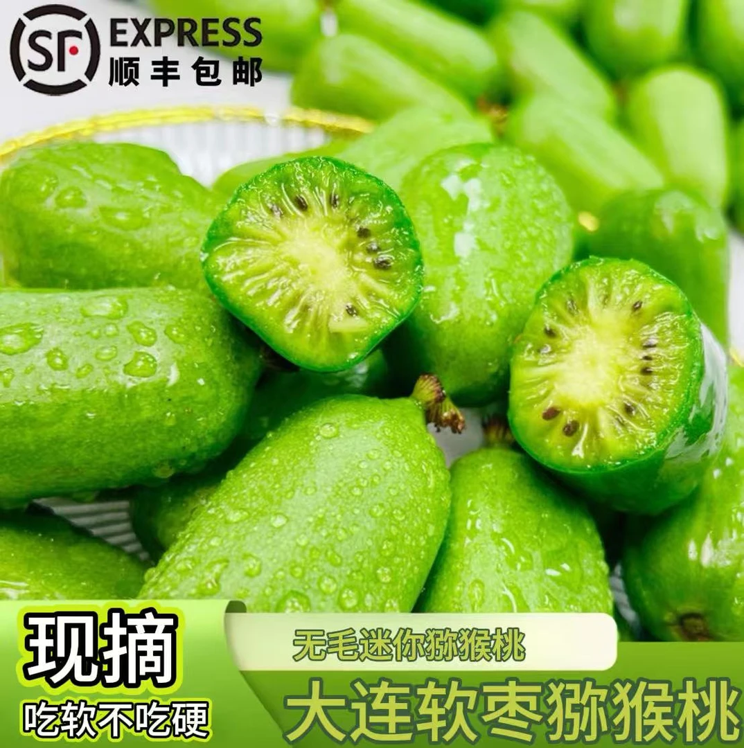 现摘新鲜软枣猕猴桃东北特产奇异莓果园直发顺丰包邮香甜多汁