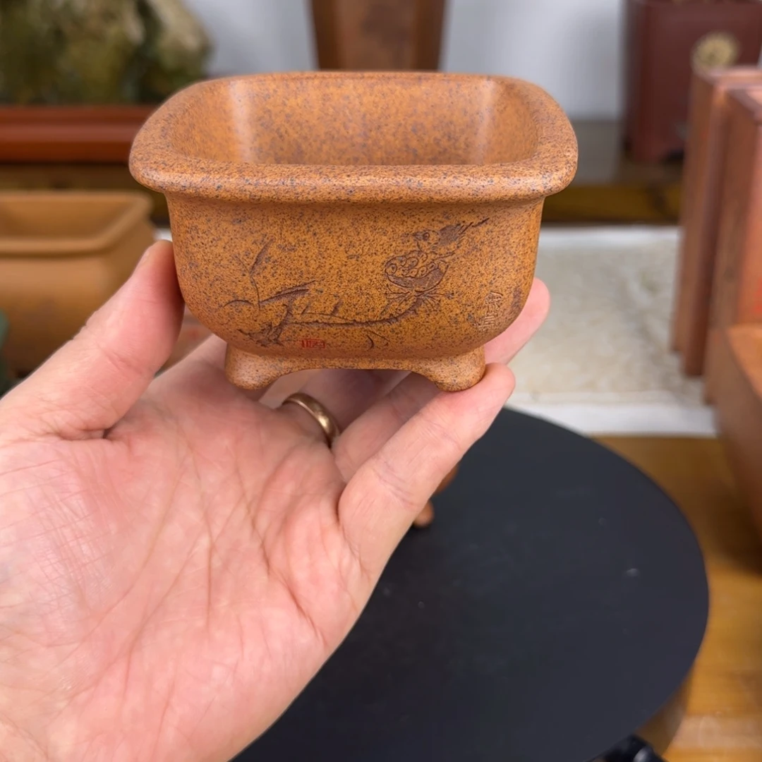 紫砂花盆土*妈紫砂花盆