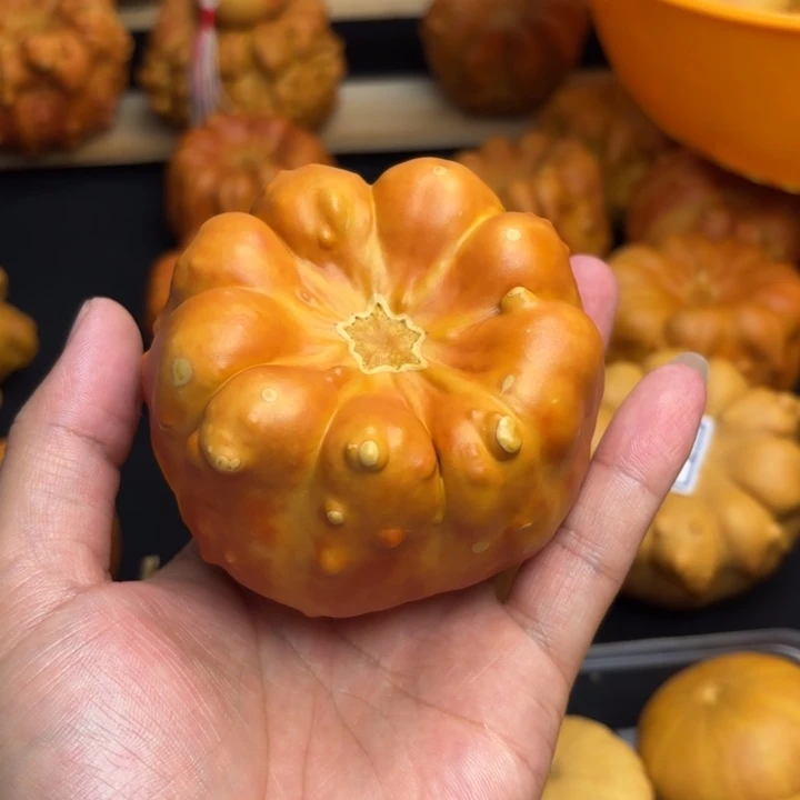 福禄福禄福禄来喽
