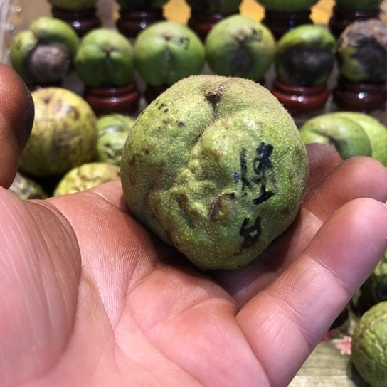 吊坠桃核核桃核桃