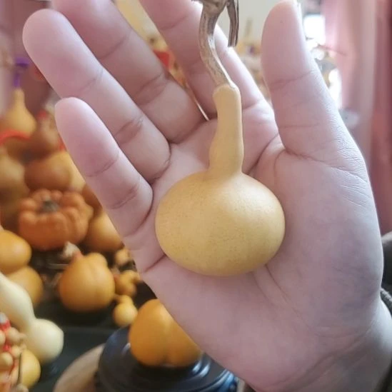 笙箫葫芦记精品葫芦—9车—19肚八宝