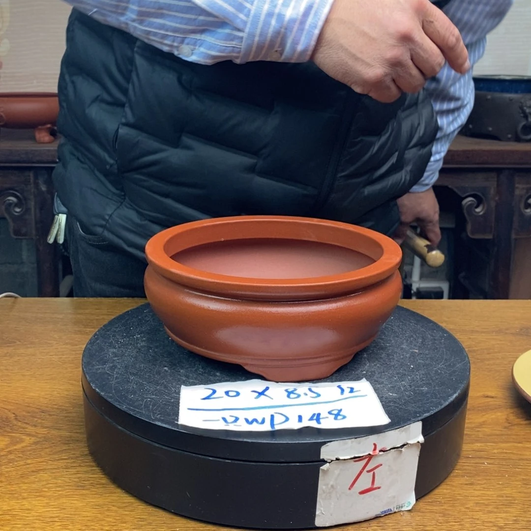 紫砂货号一只WP148
