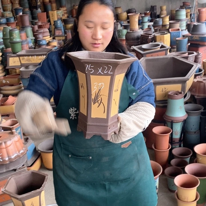 紫砂花盆盆栽花卉苗木种植