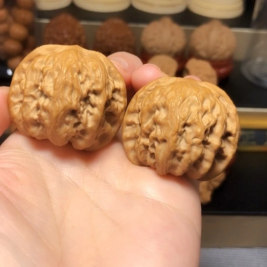 精品：油蜡皮野狼