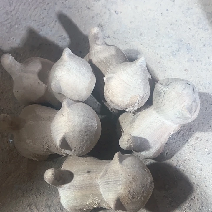 木香樟木5个小猫白胚