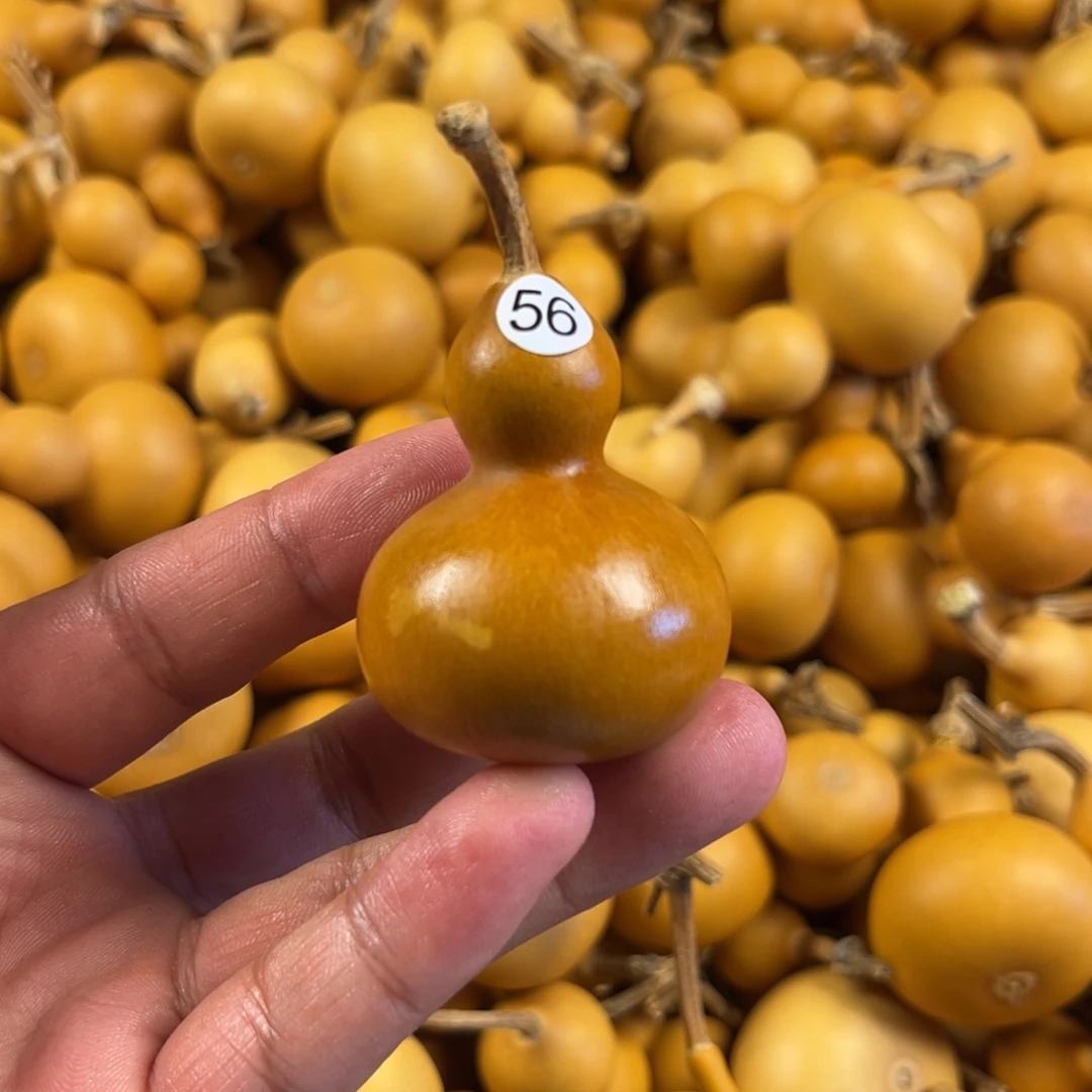 一个葫芦葫芦葫芦葫芦56