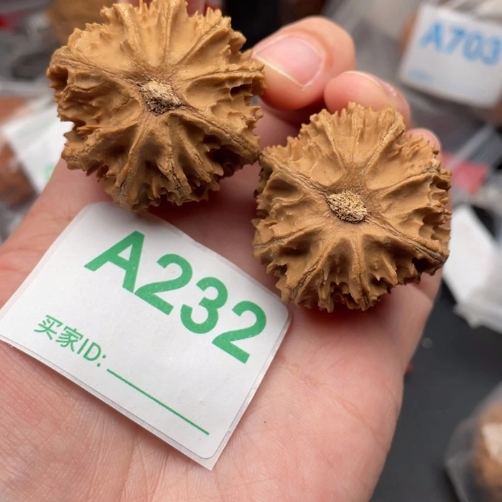 文玩核桃吊坠核桃