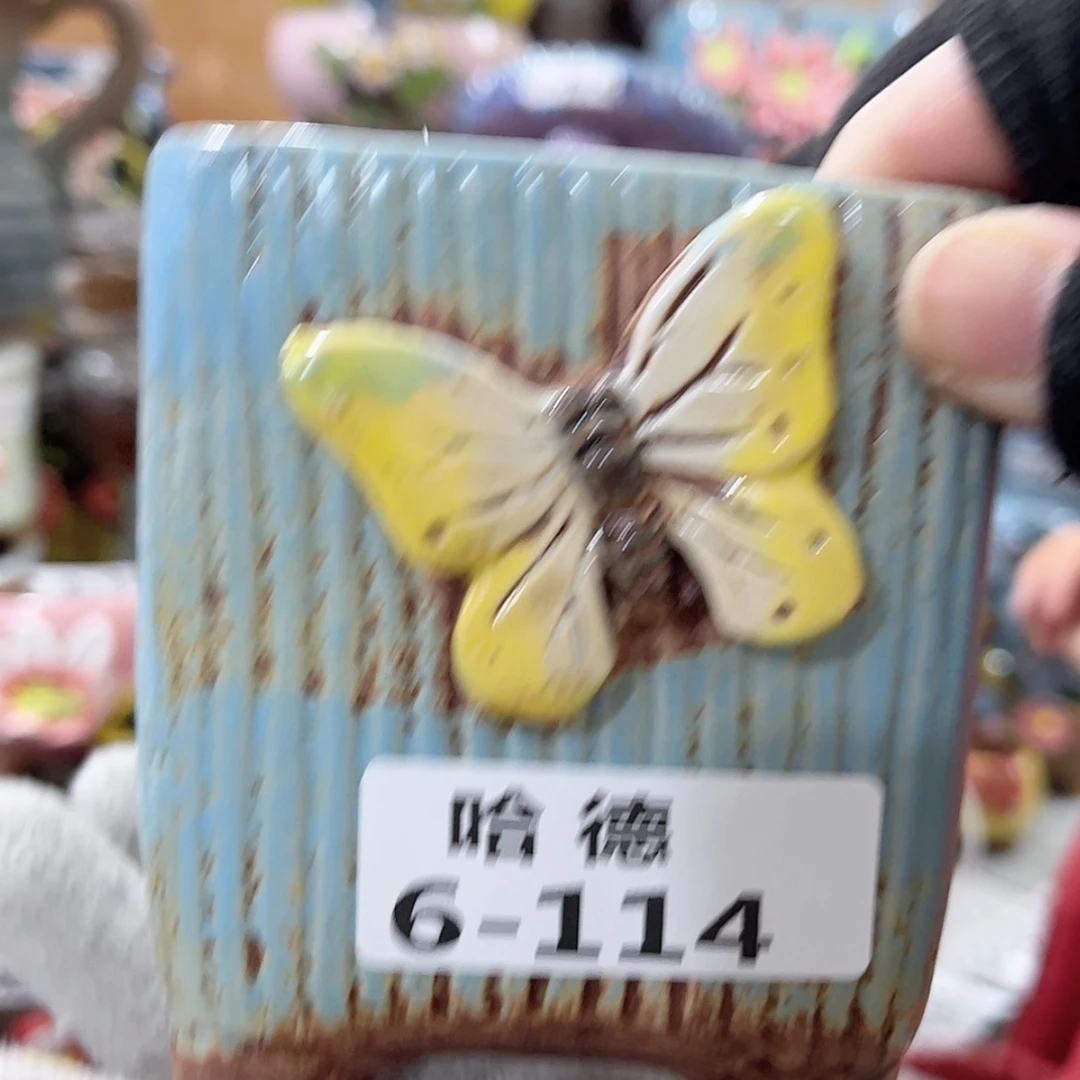 【闪购商品】红陶6114