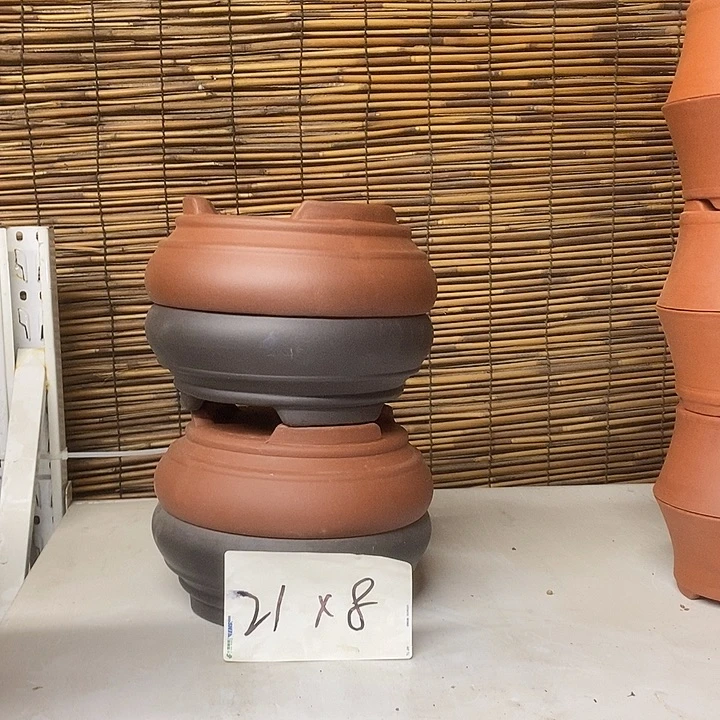 紫砂花盆我在外面