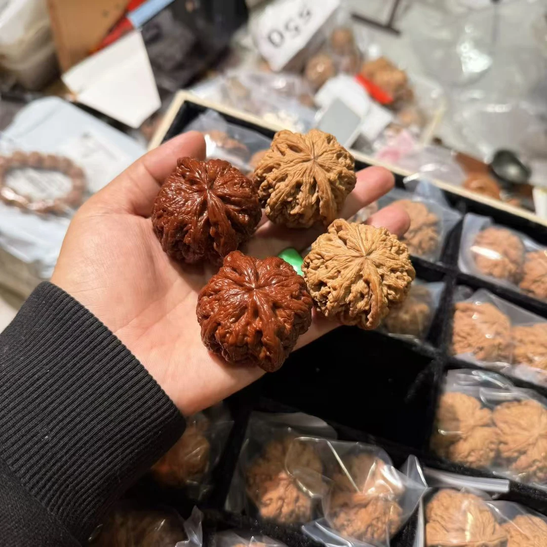 全品大粗筋 尺寸可选