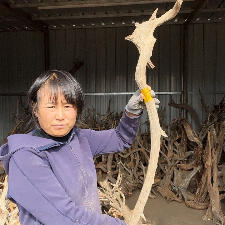 用***2北太行崖柏摆件陈化