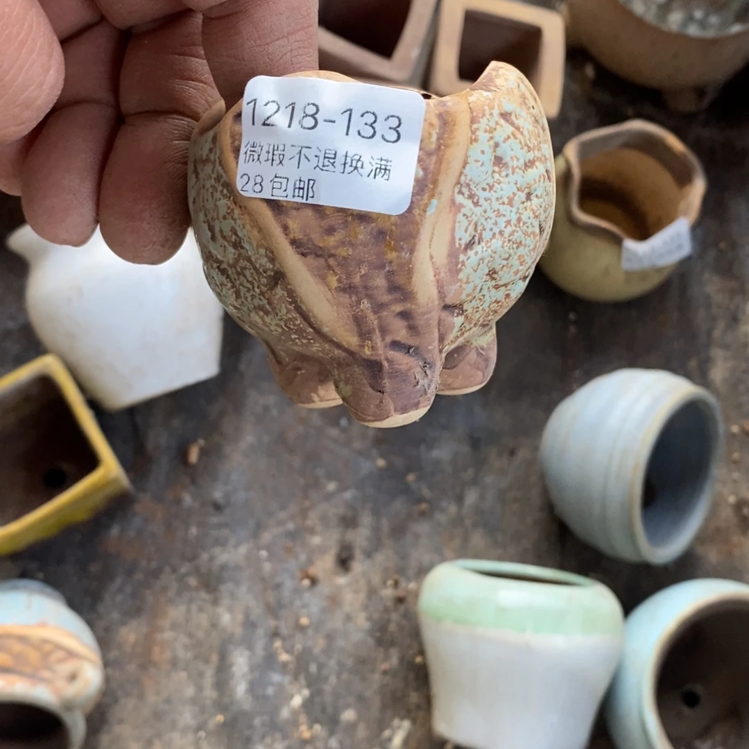 s***y133号花盆对啦啦啦