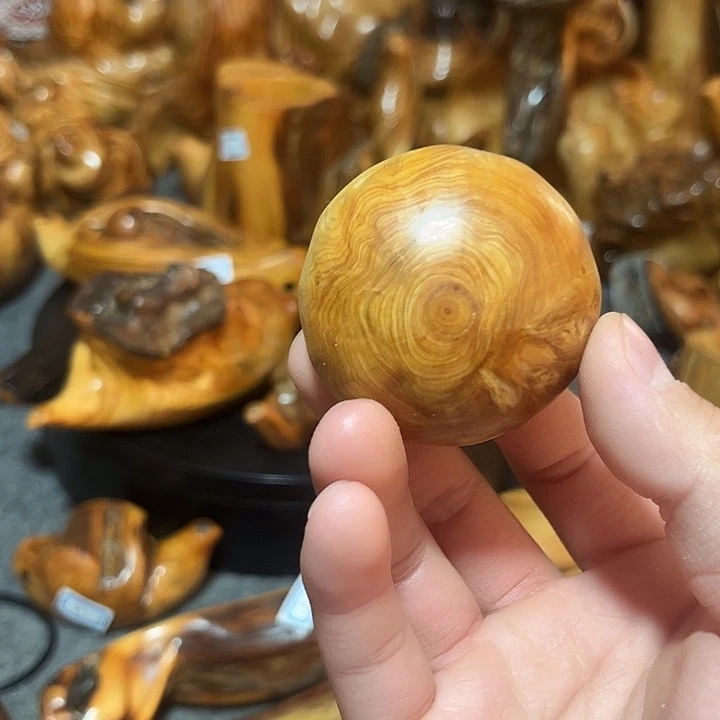 日***心柏木崖柏手把手把6