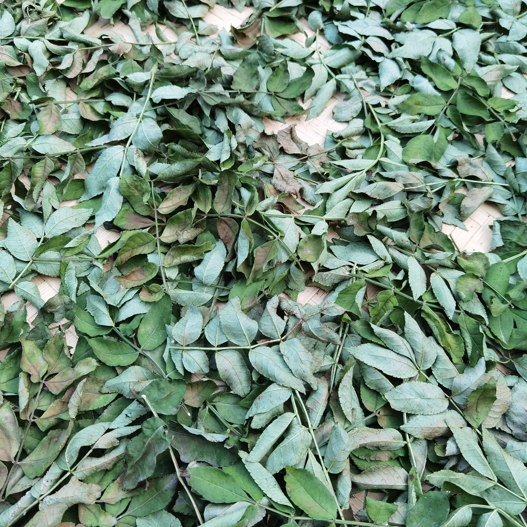 25年陕西干花椒叶，近期晾晒的新货