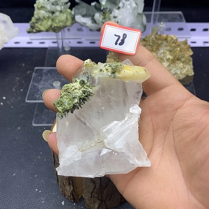 有机玻璃巴基斯坦喜马缝合浮生兔毛78