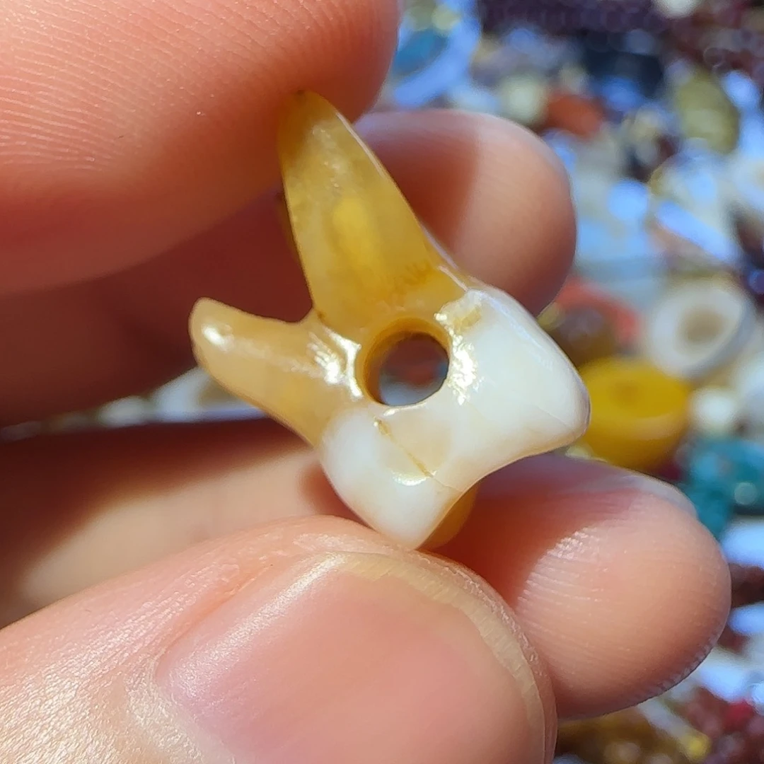 柏香籽/百香籽吊坠