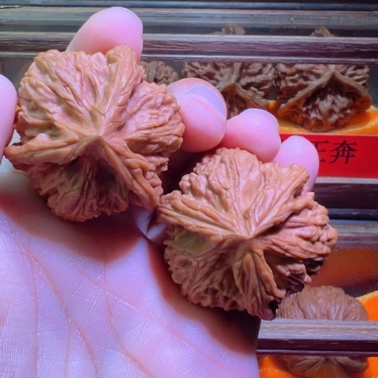 土豪级嘎嘎正文山球奔41边38高