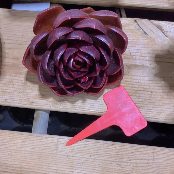 凡***儿我都想和你们好好