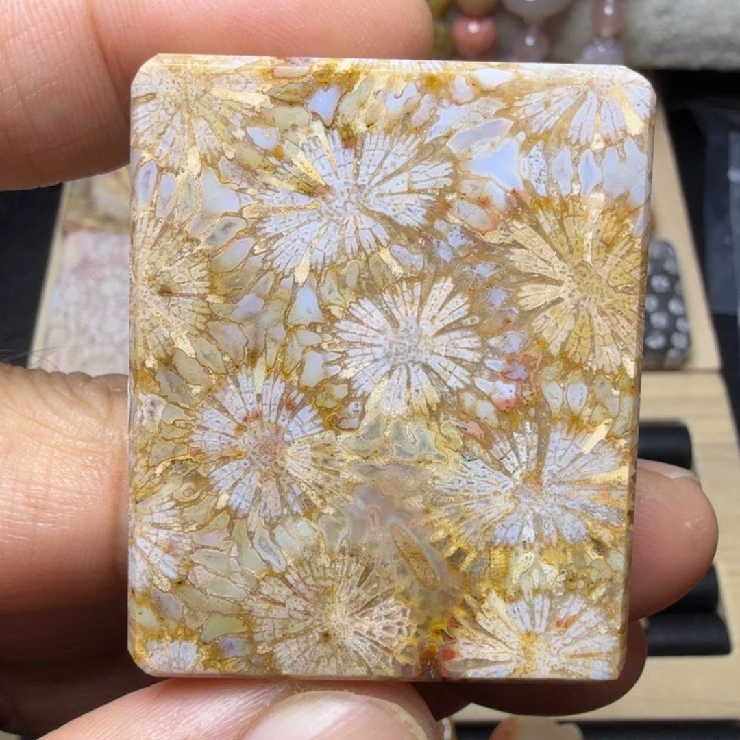 硅化玉未镶嵌天然有机玉石保真色