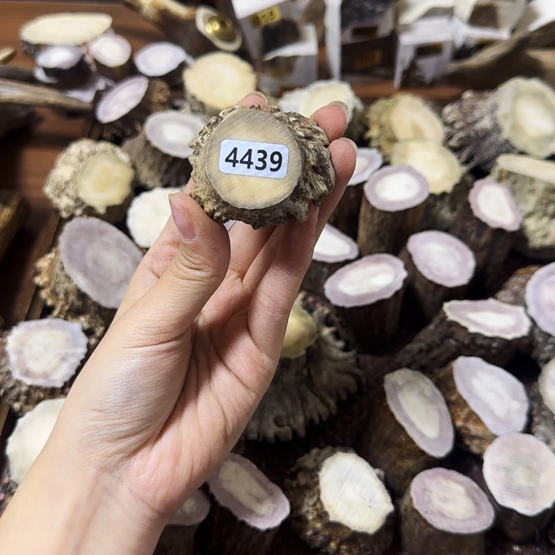 鹿骨手串/手链4439角帽