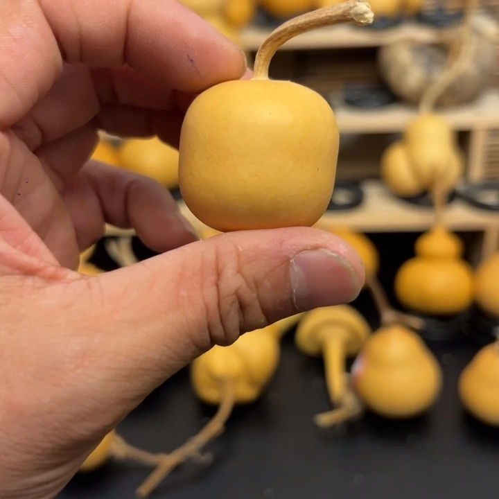 沙*金1255256369339999