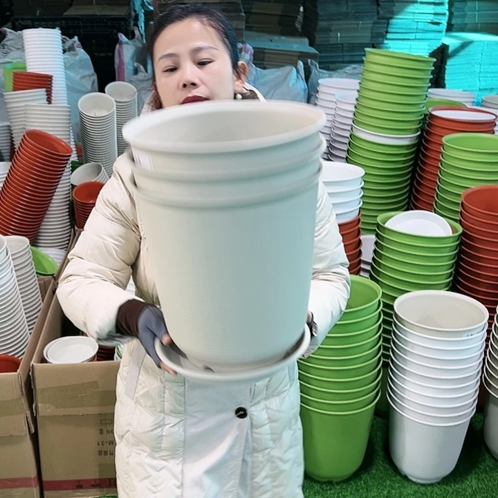 正品高陶口30高31米色带托3只