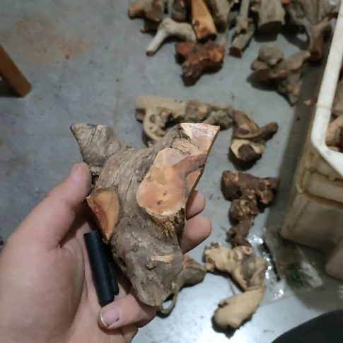 我***雕大果紫檀（缅甸花梨）
