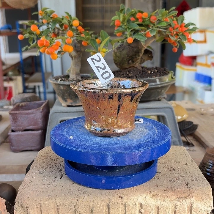 7.5x5.8///////220:///////