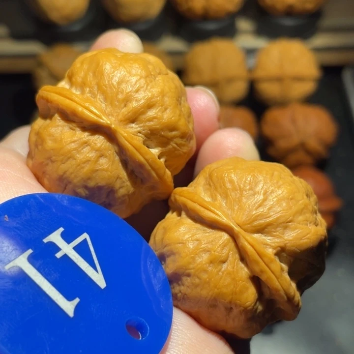 冰蟾36尺寸核桃。