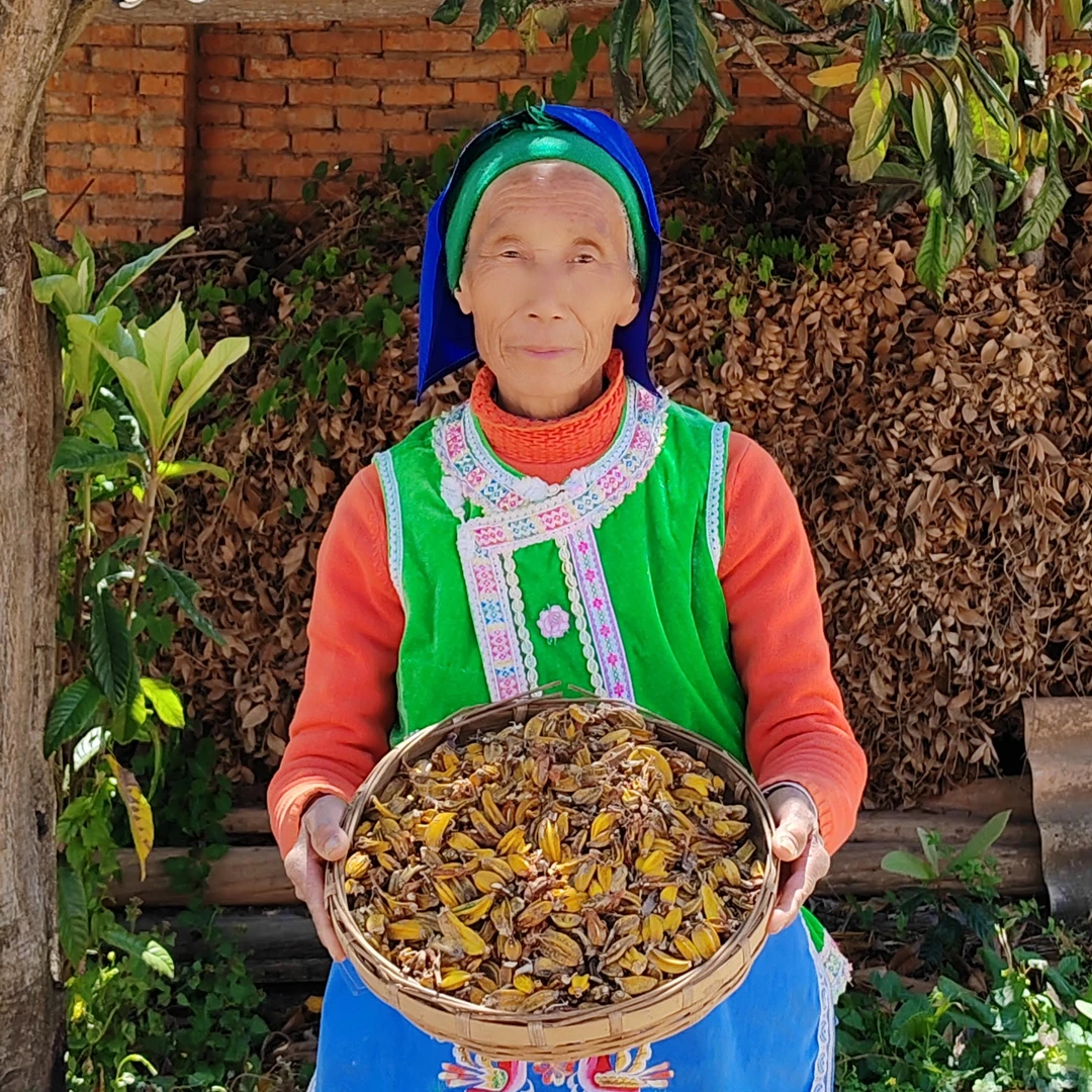 （月1）初级农产品【玉·枢·丹】150g 250g 可搭配枸杞使用