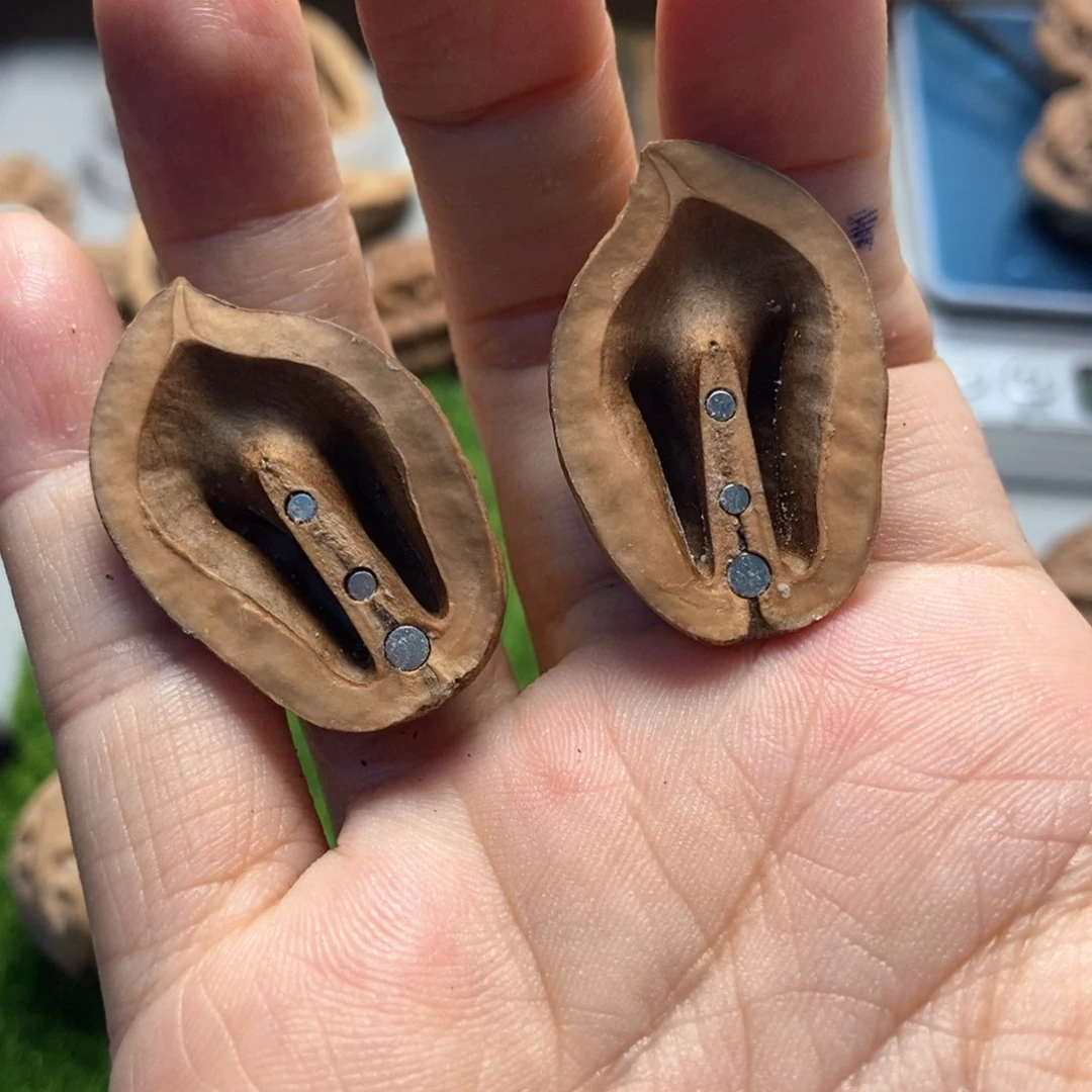 文玩核桃吊坠星****⭐秋子