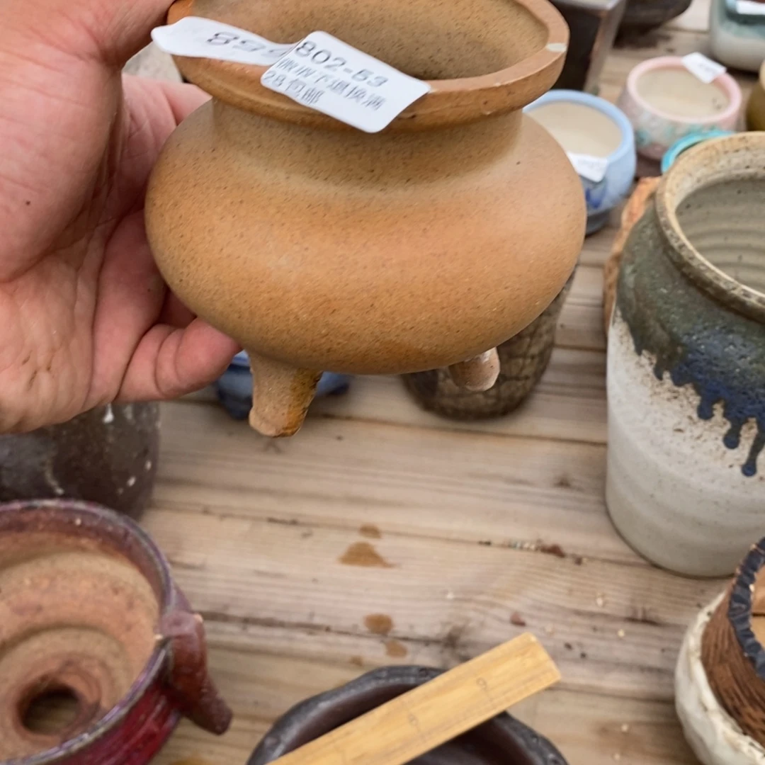 53号花盆内8高10花盆