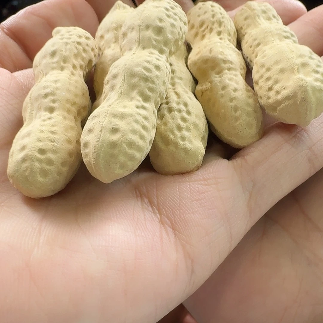 紫砂茶宠涌**雲好事发生