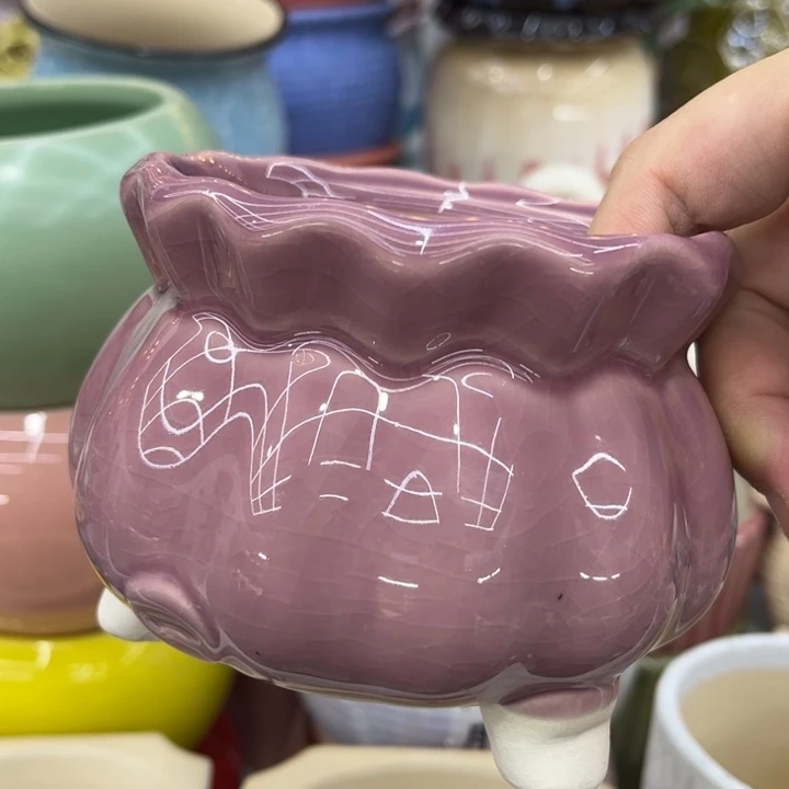 多肉植物陶瓷花盆