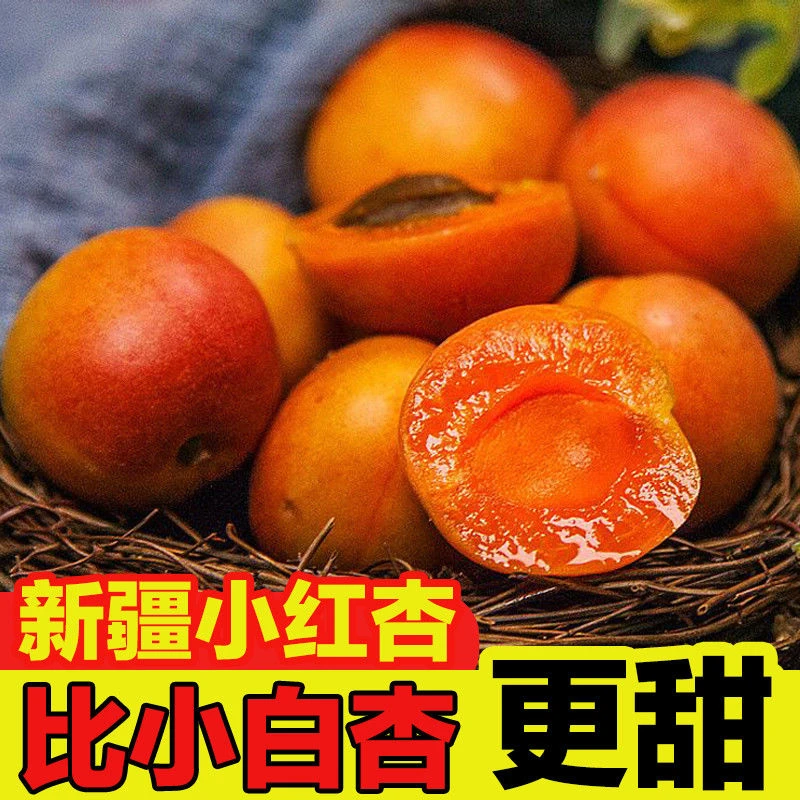 新疆吊干杏小红杏子阿克苏新鲜孕妇宝宝水果纯甜顺丰空运包邮