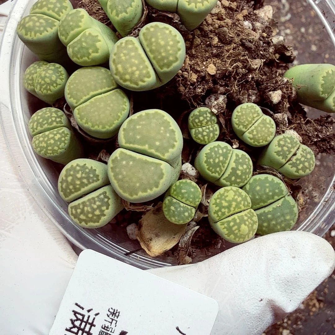 你就不要和人家在这聊天嘛554