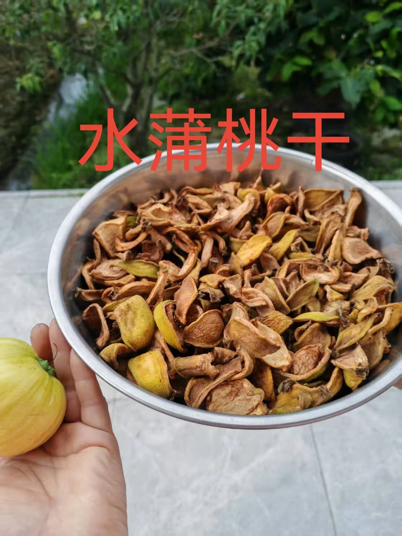 水蒲桃干菩提干叮当果铃铛果葡桃果手工晒制泡茶泡酒煲汤浓郁50G