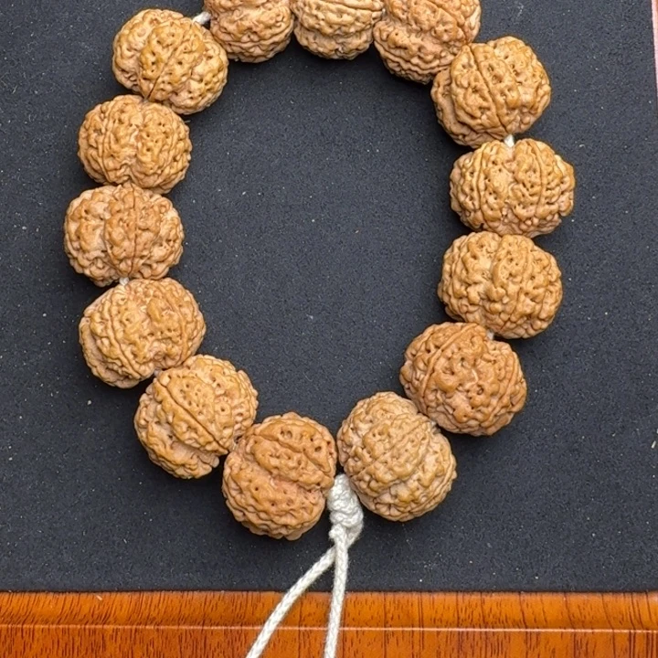 手串金刚菩提1号23尺寸粗筋梅花